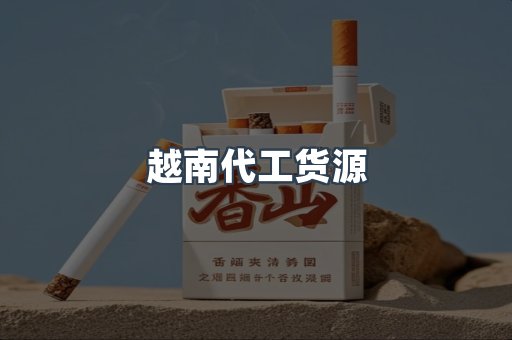 越南代工货源